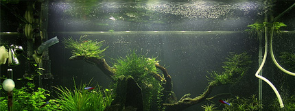 LED Aquarium Lights