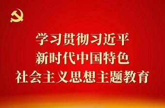 学习贯彻习近平新时代中国特色社会主义思想主题教育
